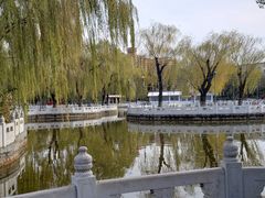 -丰台花园
