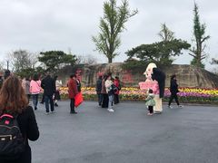 -荷兰花海
