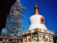 -护国法轮寺
