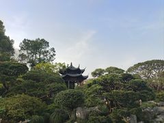 -西湖游船