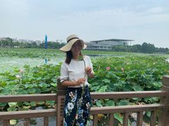 -海天湖公园