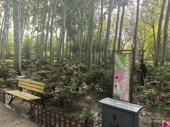 -仁和公园(顺义区)