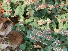 -南京市无想山景区