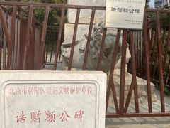 -团结湖公园