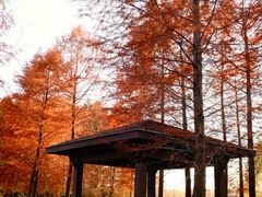 -梁鸿国家湿地公园