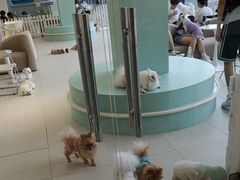 -怪兽屋·羊驼·猫咖·狗咖(俊华广场店)