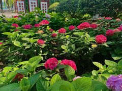 -常州古运河南大街文化旅游区-人民公园