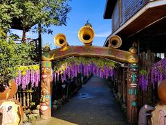 -呀路古热带植物园