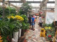 -秦美花卉(天朗·莱茵小城2期店)