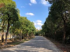 -上海海湾国家森林公园