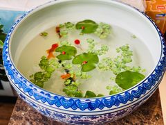 -瑞派·关忠动物医院·异宠专科·犬猫肿瘤·皮肤专科(望京店)