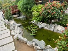 -蘇河湾·新鲁菜·泰山宴(泰山店)