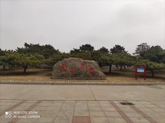 -塘沽森林公园