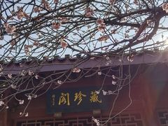 -堤角公园