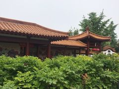 -神州牡丹园