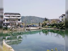 -树山生态村