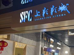 -SFC上影影城(新世界店)