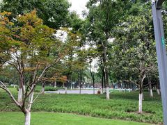 -后襄河公园