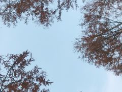 -北京奥林匹克公园