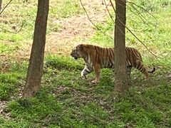 -杭州野生动物世界