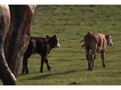 -亿利库布其七星湖沙漠生态旅游区