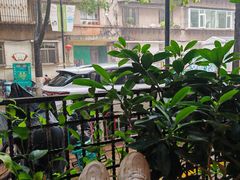 -萨尔瓦多Salvador's
