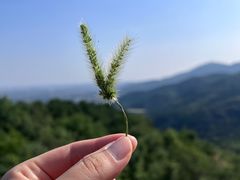-国家植物园