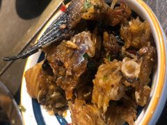 -土著渔匠·养生蝴蝶鱼(香樟路店)