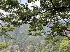 -广东大峡谷