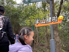 -紫金山山顶公园