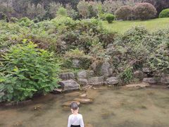 -陶祖圣境风景区