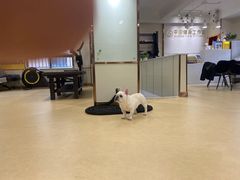 -中田·健身+普拉提(美兰湖店)
