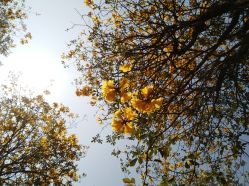 -佛灵湖水上乐园