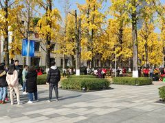 -百林公园-两江幸福广场