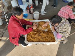 -苏州市吴中区光福窑上花果蜜饯厂