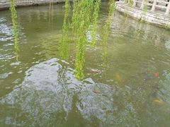 -济南大明湖景区