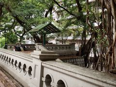 -香港佐治五世纪念公园