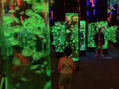 -成都浩海立方海洋公园