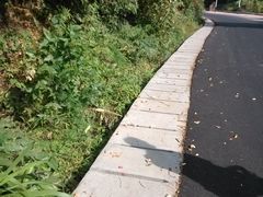 -火炉山森林公园
