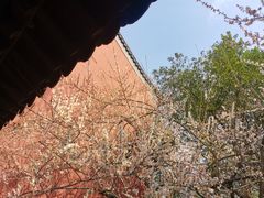 -钱王祠