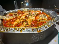 -马有鱼·馕坑烤全鱼(美美2店)