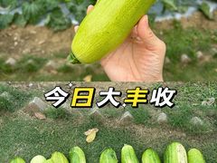 -阳澄湖半岛旅游度假区