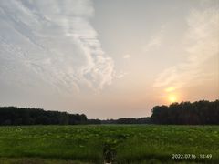 -东郊湿地公园