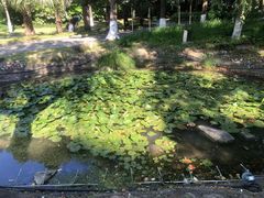 -苏州河梦清园环保主题公园