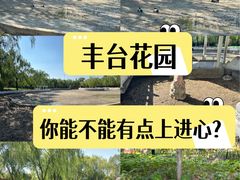 -丰台花园