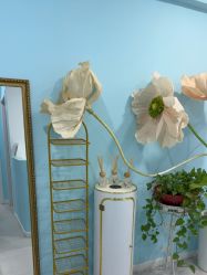 -斐尔国际皮肤管理中心