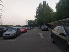-奥林匹克森林公园北园-停车场