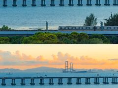 -宝安西湾红树林湿地公园