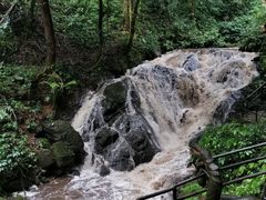 -莫里热带雨林景区