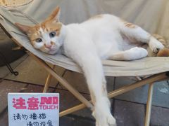 -小半有礼(天河南店)